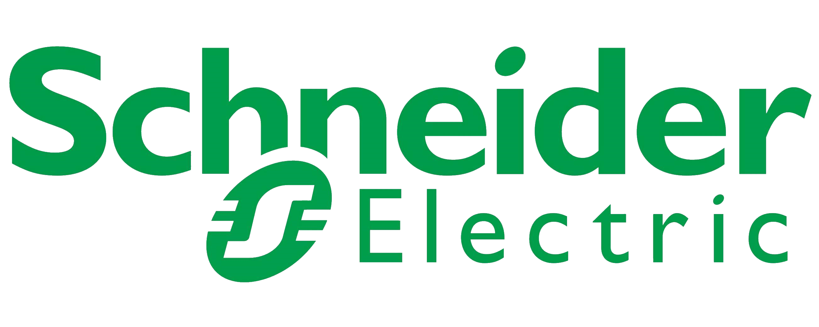 Schneider Electric — performance professionnelle